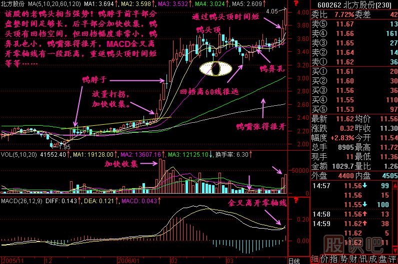 老鴨頭技術(shù)要求<a href=http://m.xinzhai8.com/jszb/K/ target=_blank class=infotextkey>K線(xiàn)圖</a>解